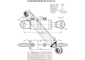ЦГ-80.40х200.22.000СБ