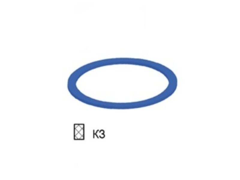 Кольцо защитное Кз 022-025-1,0, шт
