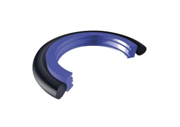 GUARING 02.028 (28-36+OR 4118-137)