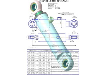 ЦГ-80.56х900.11-01