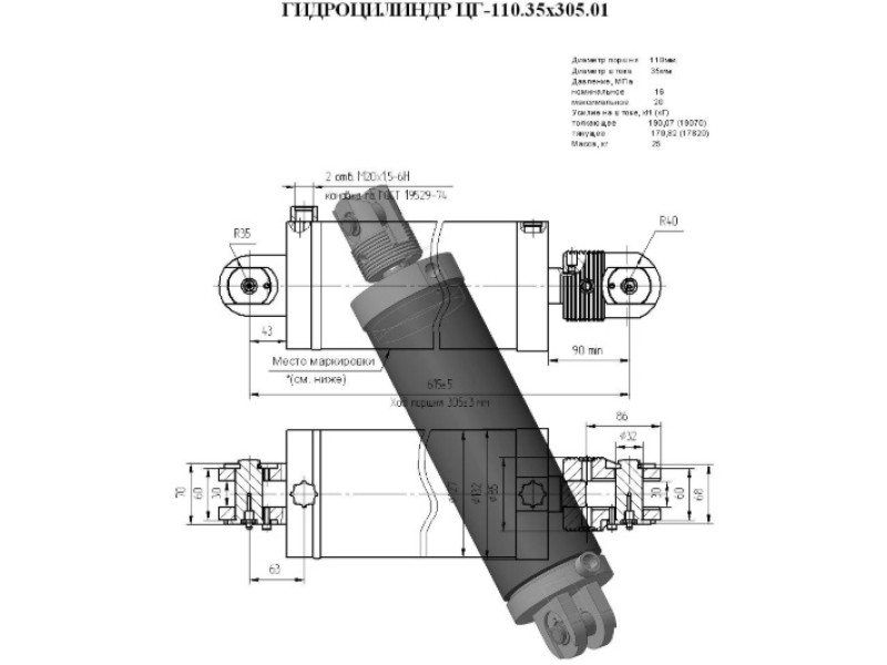 ЦГ-110.35х305.01