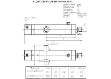 ЦГ-80.50х1000.33-01